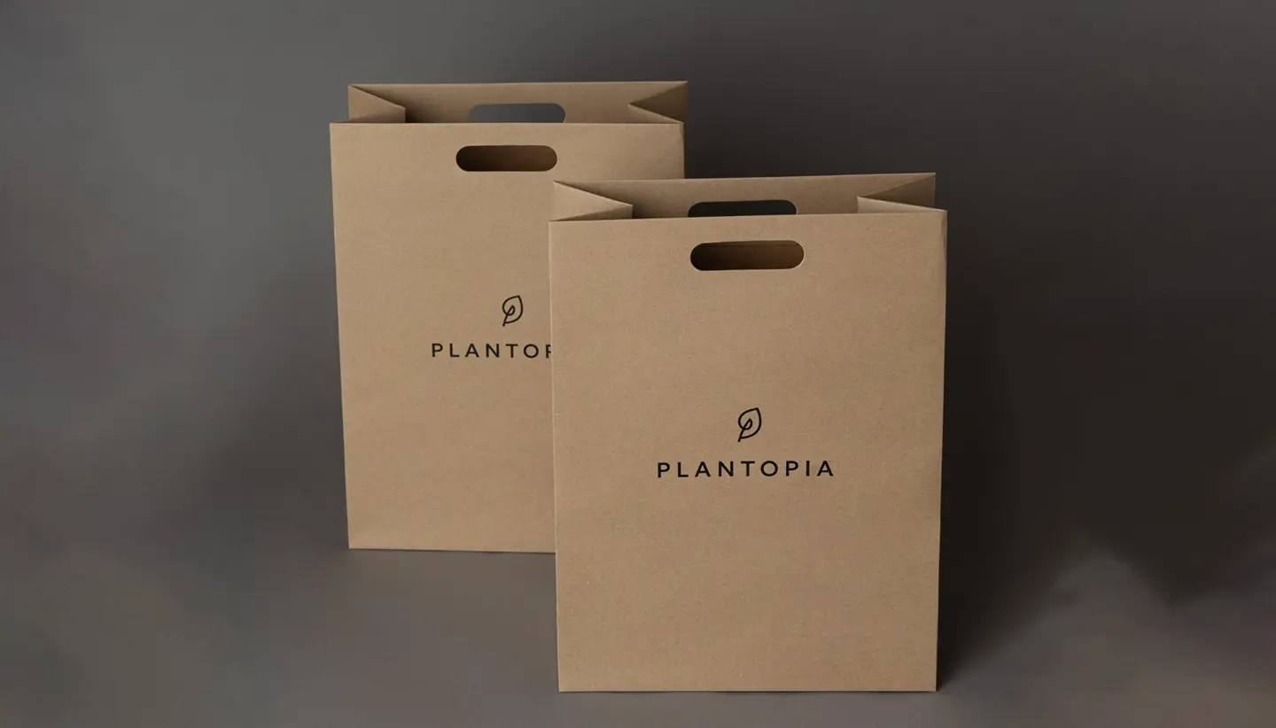 Custom paper bags printing